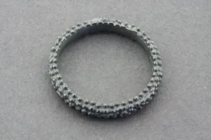 fine organic band - sterling silver